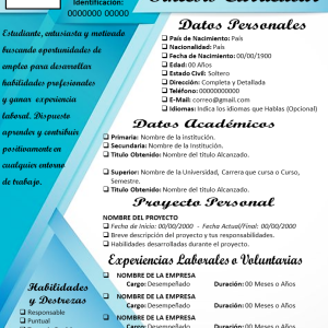 Curriculum Vitae J-1 - Mis 3DE SolChou