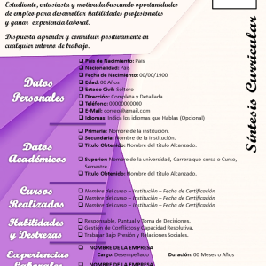 Curriculum Vitae J-4 - Mis 3DE SolChou