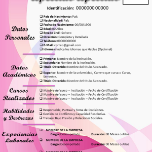 Curriculum Vitae J-6 - Mis 3DE SolChou