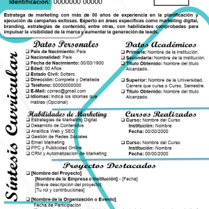 SINTESIS CURRICULAR PARA MARKETER - Mis 3DE SolChou