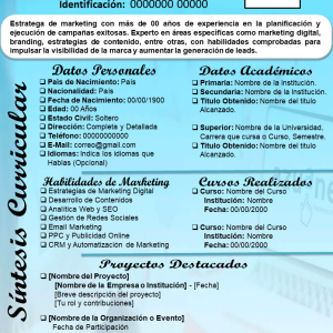 SINTESIS CURRICULAR PARA MARKETER 2 - Mis 3DE SolChou