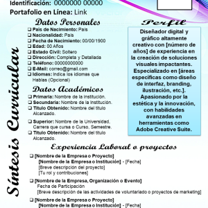 SINTESIS CURRICULAR PARA DISEÑADORES 1 - Mis 3DE SolChou