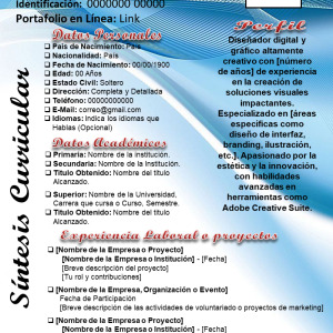 SINTESIS CURRICULAR PARA DISEÑADORES 2 - Mis 3DE SolChou