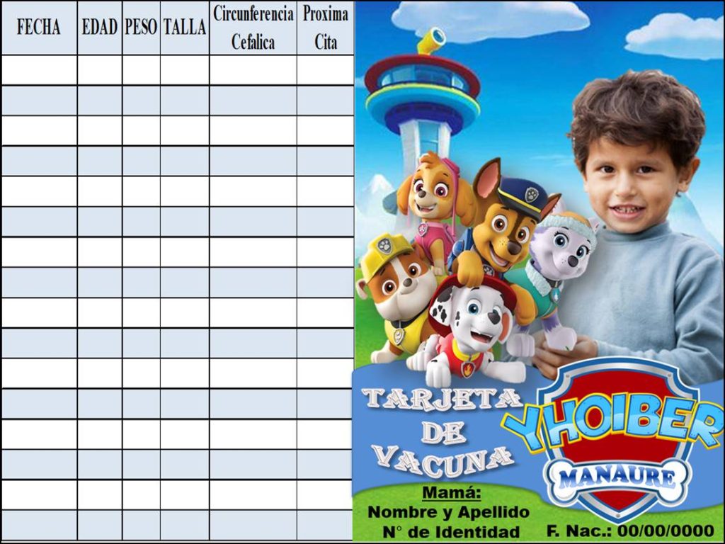 TARJETA DE VACUNA 1 - Mis 3DE SolChou